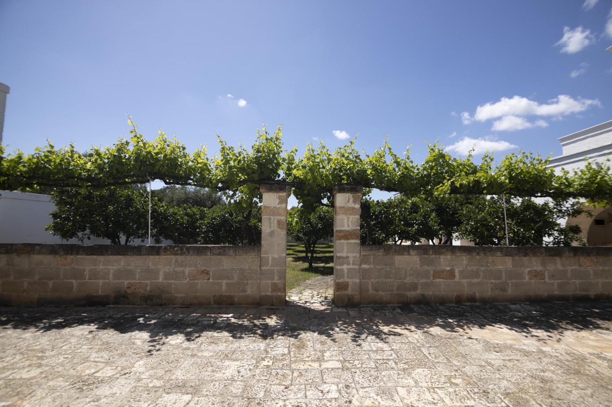 Masseria Palmo Francavilla Fontana Eksteriør bilde
