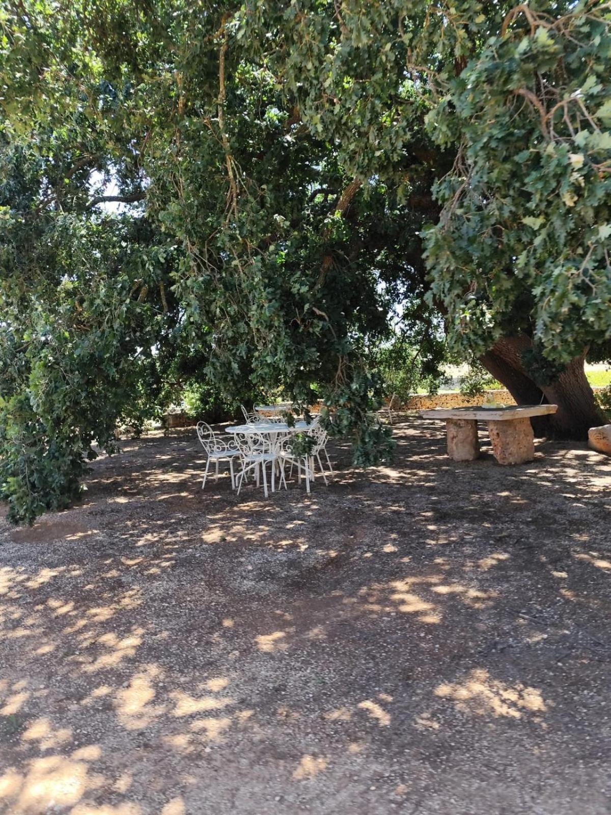 Masseria Palmo Francavilla Fontana Eksteriør bilde